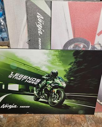 Stampa  Kawasaki Ninja 125 misure 120 x 80 cm