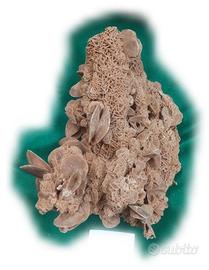 ROSA DEL DESERTO o  ROSA DI SABBIA (1)