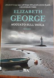 AGGUATO SULL'ISOLA di ELIZABETH GEORGE