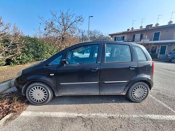 Lancia musa