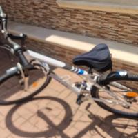 bicicletta sportiva uomo/ragazzo