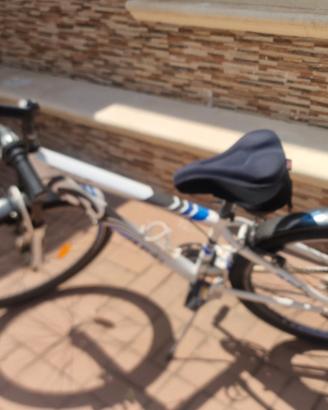 bicicletta sportiva uomo/ragazzo