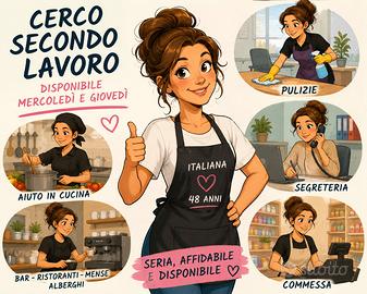 secondo lavoro anche occasionale 