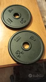 2 Dischi ghisa da 2 kg