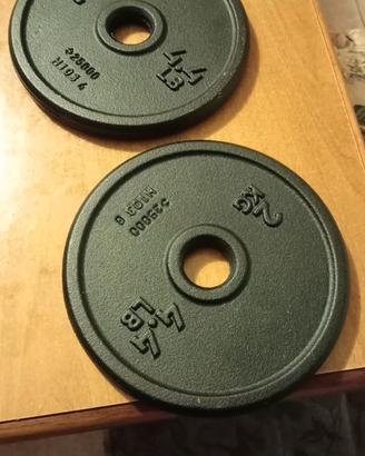 2 Dischi ghisa da 2 kg