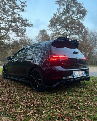 Volkswagen Golf GTI Performance 2.0 TSI 5p. BlueMo
