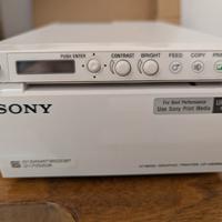 stampante ecografica a colori