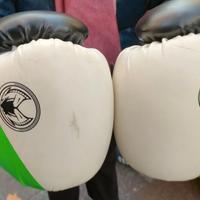 Guantoni boxe