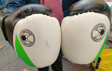 Guantoni boxe