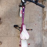 Bici montana