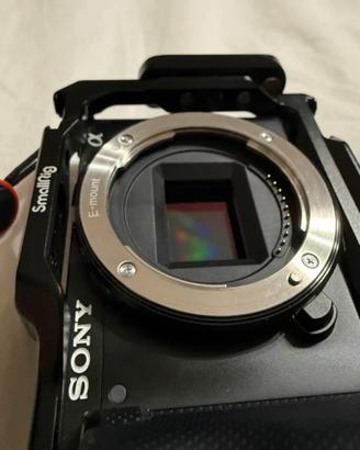 Sony Sony ZV-E10