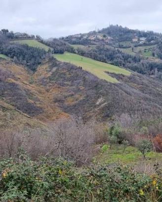 Terreno di 49666 m² a Gemmano