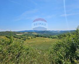 Terreno Edificabile - Castelnuovo di Val di Cecina