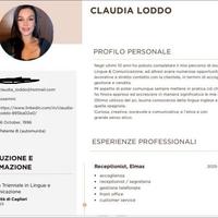 Pulizie, commessa, cassiera