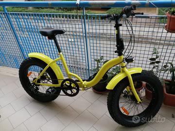 Bici FAT 20 POLLICI a 140 EURO 