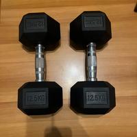 Manubri da 12,5 Kg