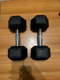 Manubri da 12,5 Kg