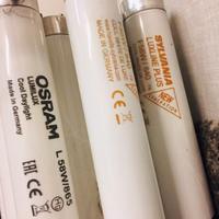 Lampade Neon Osram e Sylvania