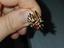 Immagine 4