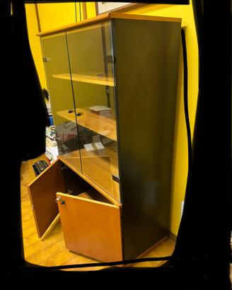 Libreria in legno con ante in vetro