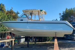 Boston Whaler 290 Outrage Fishing