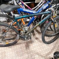 Bicicletta montanbaike ragazzo.