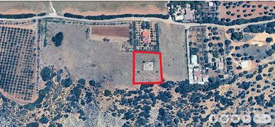 Terreno 2.000mq Pisticci (MT)-Contrada San Gaetano