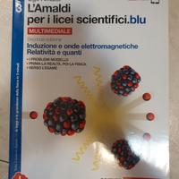 l'amaldi per i licei scientifici blu vol 2 - 3