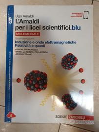 l'amaldi per i licei scientifici blu vol 2 - 3