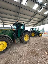 Addetto allevamenti avicoli/bovini