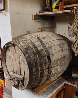 Botte da vino cotto in legno  anni 50  180  Litri 