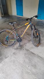 bici Mountain bike 