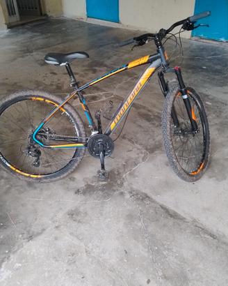 bici Mountain bike 