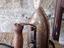 Immagine 2