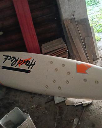 tavola surf