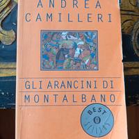 gli arancini di Montalbano.Camilleri