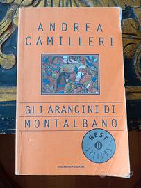 gli arancini di Montalbano.Camilleri