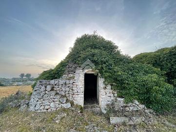 RUSTICO A CEGLIE MESSAPICA