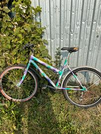 Bicicletta donna vintage verde e viola