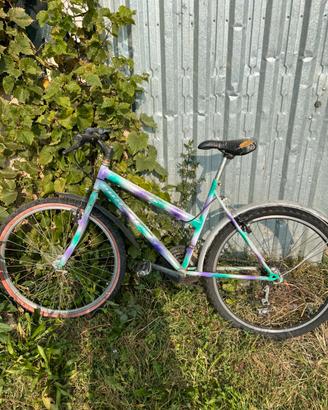 Bicicletta donna vintage verde e viola