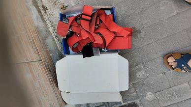 N 2 cinture a sei punte scadute