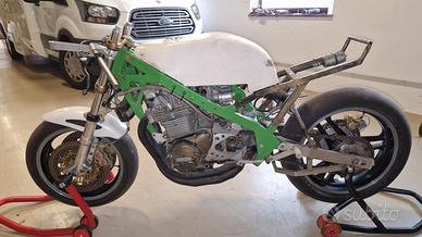 GEMINIANI SPECIAL KAWASAKI 900 TESTANERA esemplare