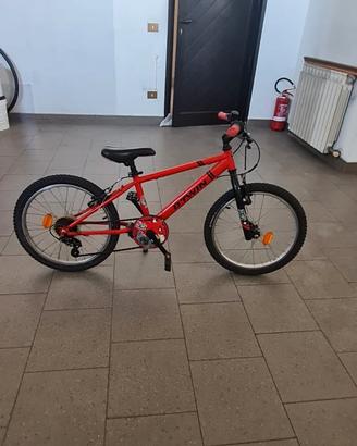 Bicicletta ragazzo