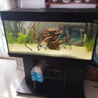 Acquario Wave da 190 lt con mobile. 