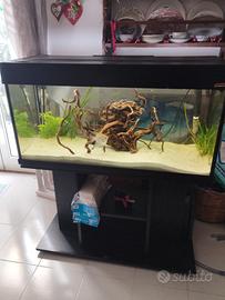 Acquario Wave da 190 lt con mobile. 