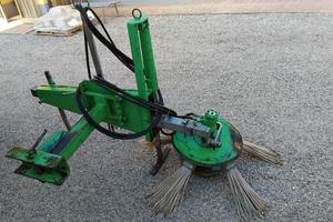 Girorami a spazzola cesari