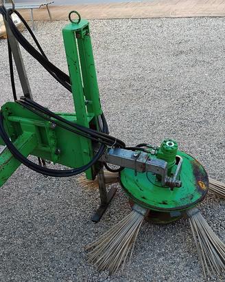 Girorami a spazzola cesari