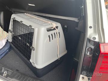 Kennel per trasporto cani in auto