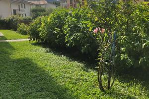 Appartamento 3 camere