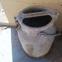 bidone raccolta latte